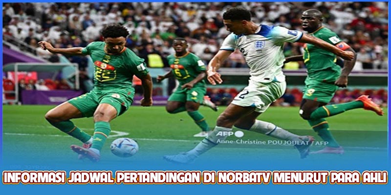 Informasi jadwal pertandingan di NobarTV menurut para ahli